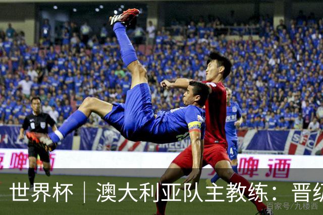 世界杯｜澳大利亚队主教练：晋级淘汰赛是我们应得的